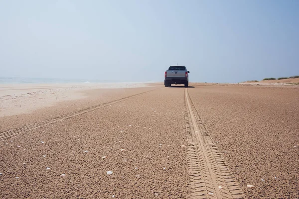 Doğal Rezerv ve SUV 'un kumlu kısmının güneşli yaz günlerinde tekerlek izlerini bırakan görüntüsü.