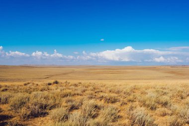 Torysh Balo Vadisi 'nin resimli manzarası. Kuru otlar ve güneşli yaz gününde bulutlu mavi gökyüzü.