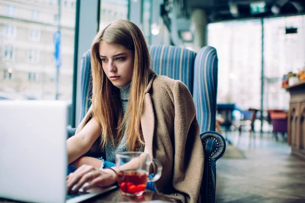 Pensive female freelancer in casual wear sitting in comfortable armchair in modern cafe and working on remote project on laptop