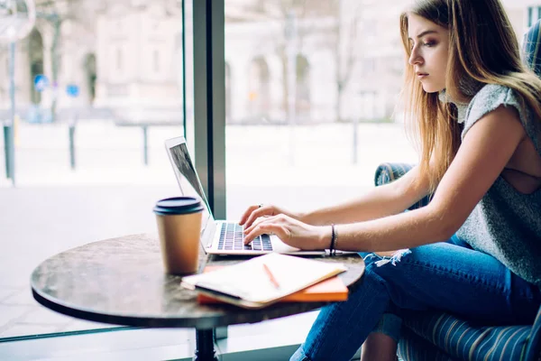 Vista Laterale Donna Freelance Concentrata Abbigliamento Casual Seduta Moderno Caffè — Foto Stock