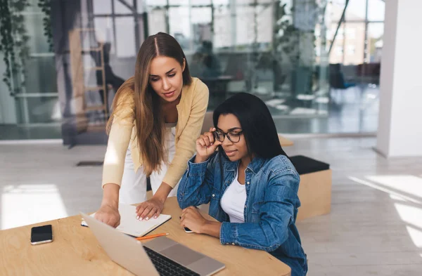 Mujer Negocios Europea Mostrando Algo Ordenador Portátil Colega Negro Concepto —  Fotos de Stock