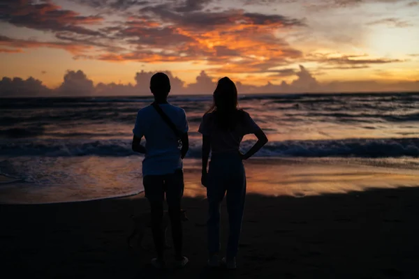 Back view of full body unrecognizable female friends with dog standing in front of ocean and admiring picturesque sunset while spending evening together