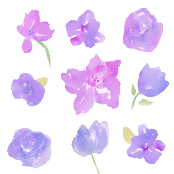Lös målade akvarell blommor. våren akvarell blommor — Stockfoto