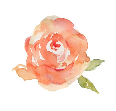 ile izole suluboya Şakayık bırakır. boyalı Şakayık