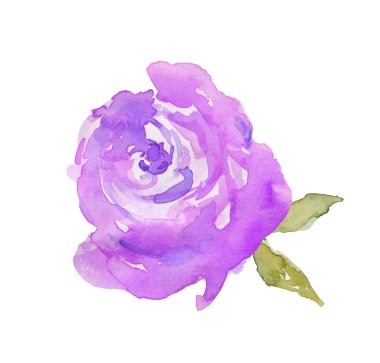 ile izole suluboya Şakayık bırakır. boyalı Şakayık