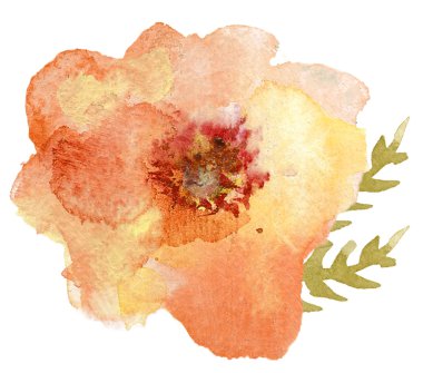 Tek suluboya çiçek