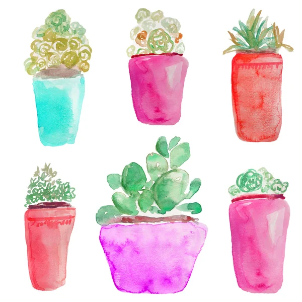 Watercolor Succulents in Flower Pots — Stock Photo, Image