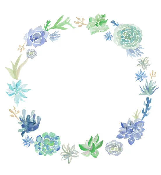 suluboya etli bitki çelenk. yuvarlak dolgun çelenk