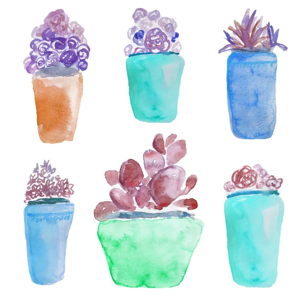 Watercolor Succulents in Flower Pots — Stock Photo, Image