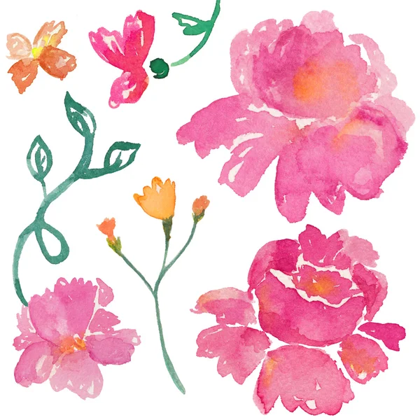 Rosa de aquarela. Rosas vintage. Flores da Primavera. Aquarela Flowe — Fotografia de Stock