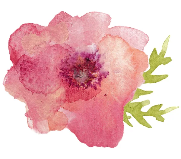 Pojedynczy kwiat akwarela — Zdjęcie stockowe