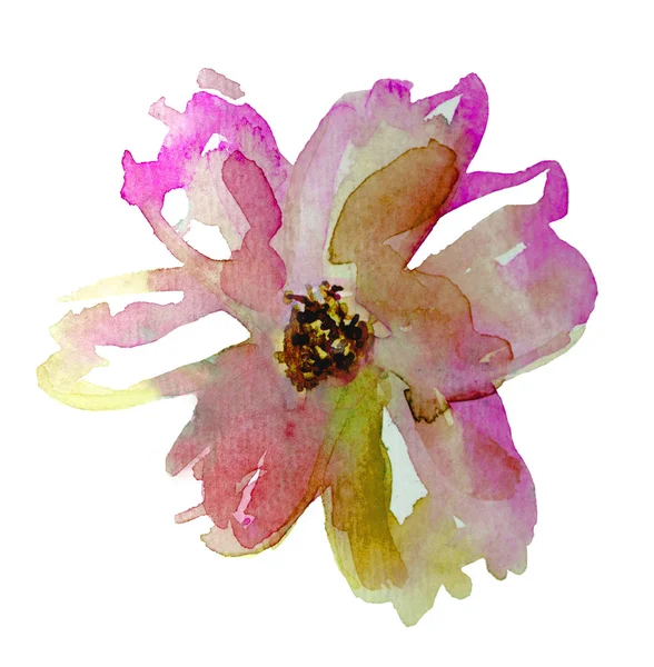 Enkelvoudige aquarel bloem — Stockfoto