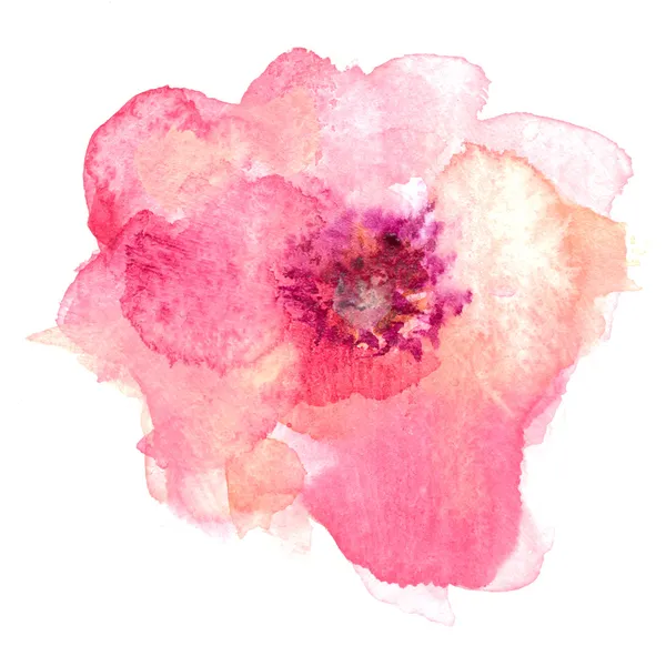 Egy akvarell virág — Stock Fotó