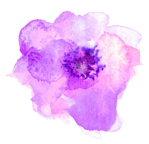 水彩花が 1 つ — ストック写真