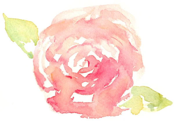 Egy akvarell virág — Stock Fotó