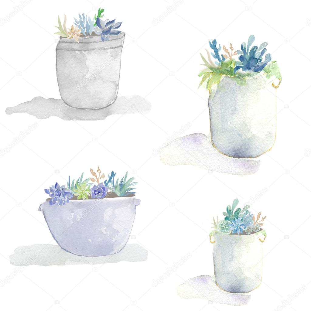 Watercolor Succulents in Flower Pots