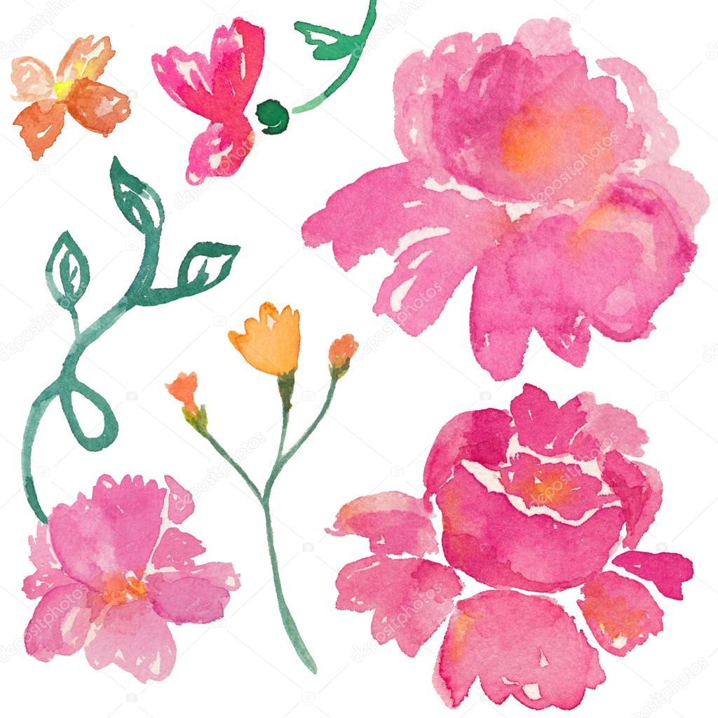 Watercolor Rose. Vintage Roses. Spring Flowers. Watercolor Flowe
