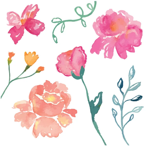 Suluboya Rose. Vintage gül.