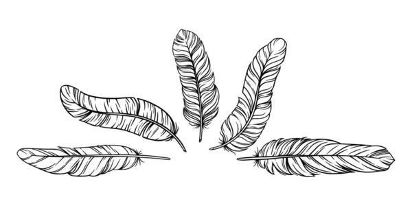 Перья в винтажном стиле Бохо. Набор племенных птичьих перьев выделен на белом фоне. Векторная иллюстрация — стоковый вектор