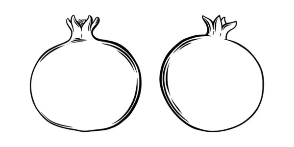 Granátové jablko pohled z boku. Barevné exotické granátové ovoce. Vektorová ilustrace — Stockový vektor