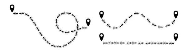Ants trail with location icon. Trasa nebo cesta izolovaná na bílém pozadí. Vektorová ilustrace — Stockový vektor