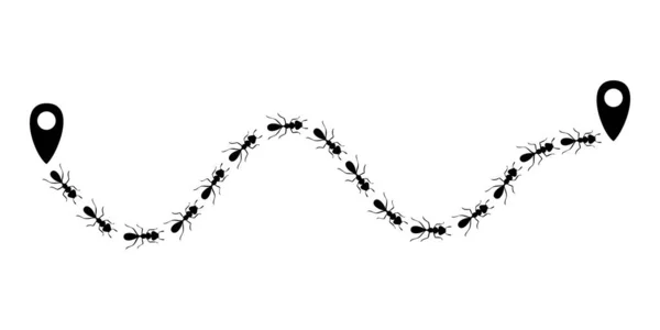 Муравьиный след с иконкой местоположения. Маршрут или путь изолированы в белом фоне. Векторная иллюстрация — стоковый вектор