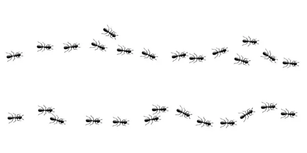 Karıncalar yolda yürüyor. Karınca yolu beyaz arkaplanda izole. Vektör illüstrasyonu — Stok Vektör