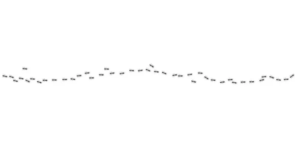 Mravenci pochodují v cestě. Černá mravenčí stezka izolovaná v bílém pozadí. Vektorová ilustrace — Stockový vektor