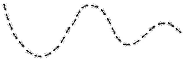 Mravenčí křivka. Ant cesta izolovaná v bílém pozadí. Vektorová ilustrace — Stockový vektor