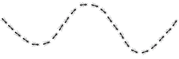 개미의 길 이 곡선입니다. 흰 바탕에 개미의 길 이 따로 있다. 벡터 일러스트 — 스톡 벡터