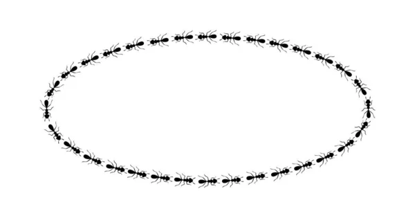 Mravenci krouží kolem. Mravenci tvořící oválný tvar izolovaní v bílém pozadí. Vektorová ilustrace — Stockový vektor