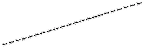 Mravenci pochodují v cestě. Ant cesta izolovaná v bílém pozadí. Vektorová ilustrace — Stockový vektor