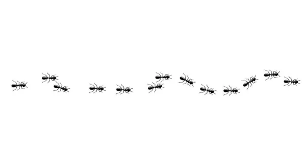 개미들의 흔적. 흰 바탕에 개미의 길 이 따로 있다. 벡터 일러스트 — 스톡 벡터