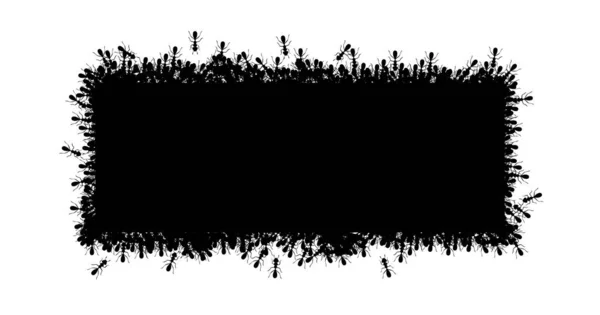 Frontera cuadrada de hormigas. Hormigas formando forma rectangular aisladas en fondo blanco. Ilustración vectorial — Vector de stock