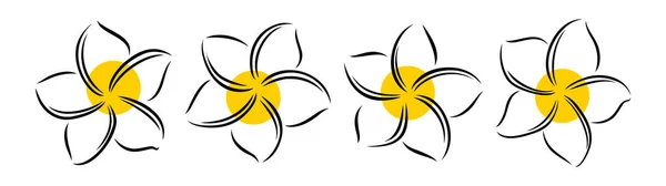 Frangipani или plumeria экзотический летний цветок. Гравированные франджипани выделены на белом фоне. Векторная иллюстрация — стоковый вектор