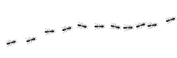 Mrówki maszerują szlakiem. Ścieżka mrówek w białym tle. Ilustracja wektora — Wektor stockowy