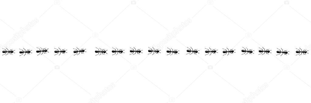 Ants marching in trail. Ant path isolated in white background. Vector illustration