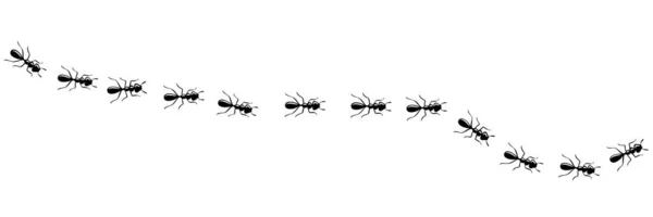 Formigas a marchar em trilha. Caminho de formiga isolado em fundo branco. Ilustração vetorial Vetor De Stock