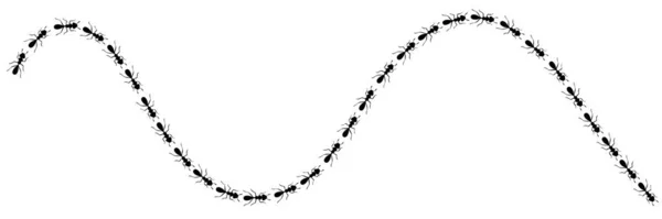 Mravenčí křivka. Ant cesta izolovaná v bílém pozadí. Vektorová ilustrace — Stockový vektor