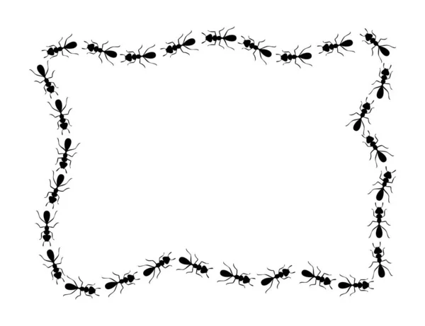 Schwarze Ameisen quadratische Grenze. Ameisen bilden eine rechteckige Form, isoliert auf weißem Hintergrund. Vektorillustration — Stockvektor