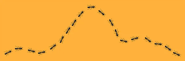 Myror spår. Rutt eller väg av myror isolerad i orange bakgrund. Vektorillustration — Stock vektor
