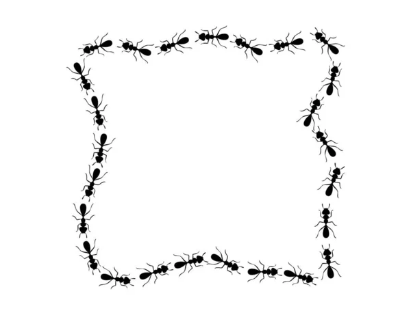 Svarta myror vid gränsen. Myror bildar rektangulär form isolerad i vit bakgrund. Vektorillustration — Stock vektor