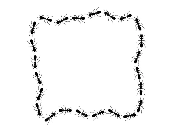 Siyah karıncaların karesi. Beyaz arkaplanda izole edilmiş dikdörtgen şeklinde şekiller oluşturan karıncalar. Vektör illüstrasyonu — Stok Vektör