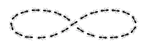 Mravenčí cesta formující znak nekonečna. Mravenčí stezka izolovaná v bílém pozadí. Vektorová ilustrace — Stockový vektor