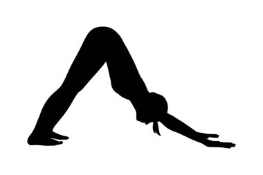 Yoga aşağı bakan köpek pozisyonu ya da Svanasana. Kadın yoga silueti. Vektör illüstrasyonu