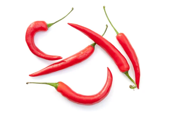 Chilischote — Stockfoto