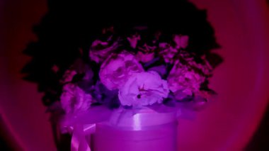 Arka planda çiçekler, renkli ışıklar. Tatil hediyesi, romantik atmosfer 