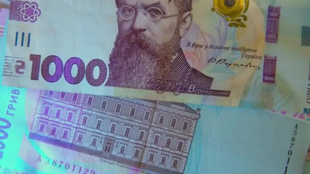 000新格里夫尼亚钞票 — 图库视频影像