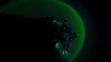 Neon arka planda eşsiz çiçekler. Mum ışığı..