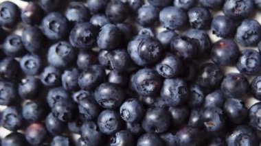 Bir sürü olgun yaban mersini..